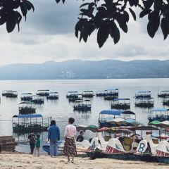 抚仙湖大知闲闲民宿·掌间 User Photo