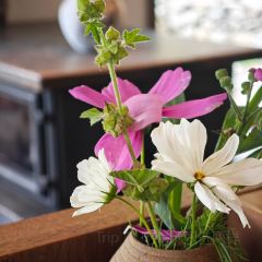 Abuluzicang Restaurant (jiuzhaigou) User Photo