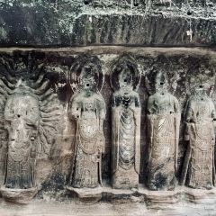 中国柠檬小镇 User Photo