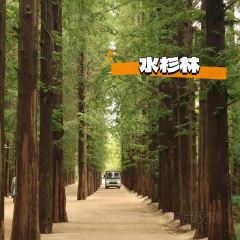 哎呀妈妈哟岚山豆腐木柴大锅鱼 User Photo
