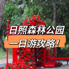 哎呀妈妈哟岚山豆腐木柴大锅鱼 User Photo