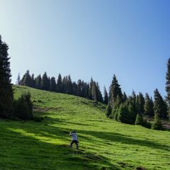 Shagou (miaopude) bishushanzhuang User Photo