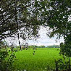 DE JI FAN DIAN User Photo