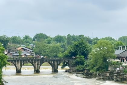 艾叶土鸡脚(艾叶店)