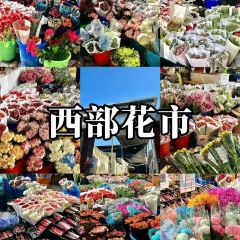 MaAnJun Lazi Niuroumian User Photo