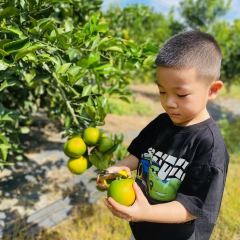 明味生態農莊張用戶圖片