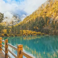 阿妈家特色藏餐(九寨沟店) User Photo