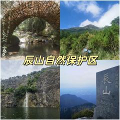 SHANGXILEICHA User Photo