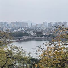 ZHENQIANJIE FERMENTED BEAN CURD CHICKEN WINGS User Photo