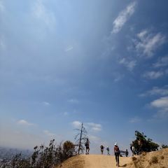 Yamashiro Hollywood User Photo