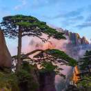 爱吃香槟的大菠菜