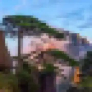 爱吃香槟的大菠菜