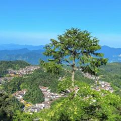 WEI DAO RESTAURANT User Photo