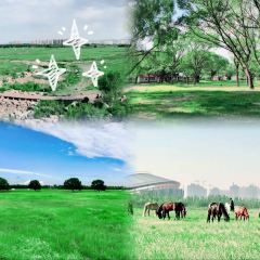 Happy Lamb Hot Pot User Photo