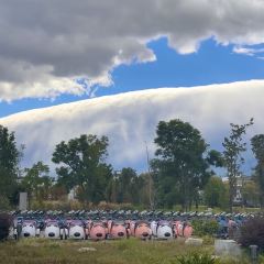 IN MY HEART User Photo