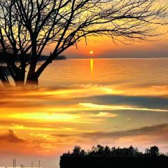 洪泽湖小鱼锅贴城(淮建路店) 여행 사진