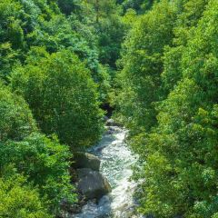 ZAI SHAN YE User Photo