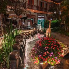 申记臭豆腐煮鱼(五一步行街店) User Photo