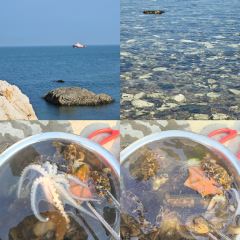 海岛日记(养马岛店) User Photo