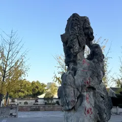 王阿姨梅花糕 User Photo