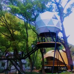 余姚树蛙部落中餐厅 User Photo