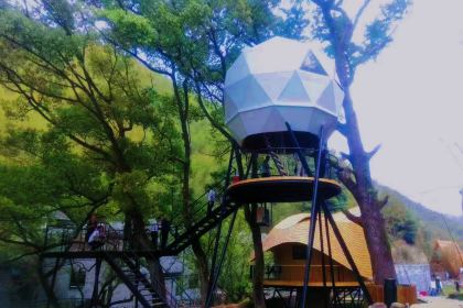 余姚树蛙部落中餐厅