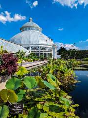 Jardín Botánico de Nueva York