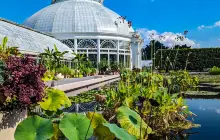 New York Botanical Garden
