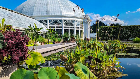 New York Botanical Garden