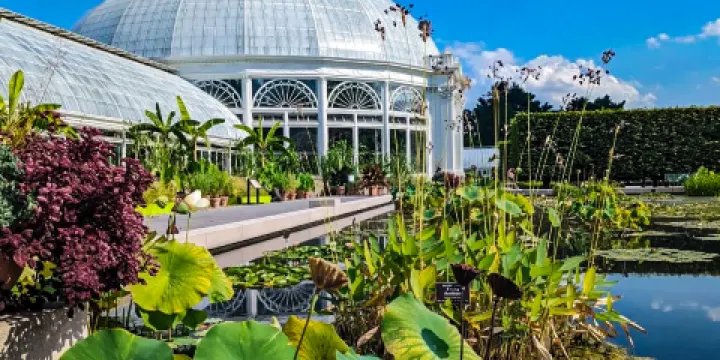 紐約植物園