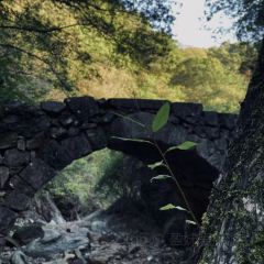 安夏食舍張用戶圖片