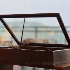 一尺花园(园博园店) User Photo