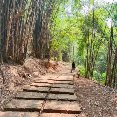 兰溪金熙温泉酒店·墅滋法餐厅 User Photo