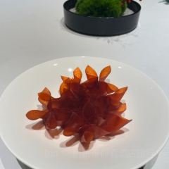 WAN YAN User Photo