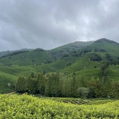 小杭坑2号营地 User Photo