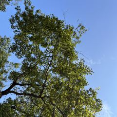 九厅十八井农庄 User Photo