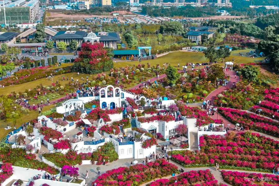 葉子花園