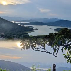 半浮生茶院 User Photo