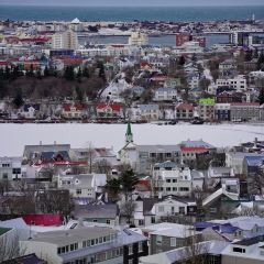 Reykjavík Kitchen張用戶圖片