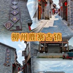 雲嶺58張用戶圖片