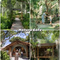 Bubble in the Forest Cafe User Photo