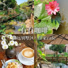 有冇咖啡(碧桂园·清泉城店) User Photo