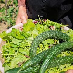 獨一處草堂張用戶圖片