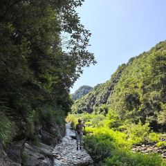 十八灶 User Photo