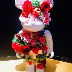 月淮星光 User Photo