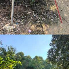 山涧别院 User Photo