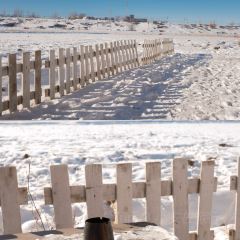 六月瓣咖啡 User Photo