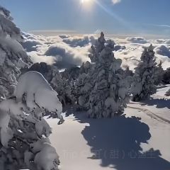 Le Chamroussien 여행 사진