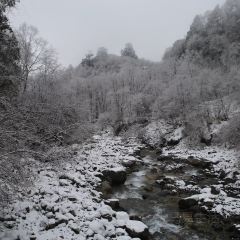 猫屎咖啡(天全服务区店) User Photo