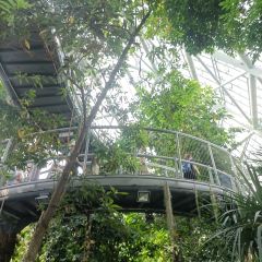 小隱圍屋張用戶圖片